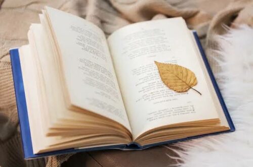 Article : J&rsquo;ai fait un tour dans des &laquo;&nbsp;lettres&nbsp;&raquo; d&eacute;di&eacute;es &agrave; la femme
