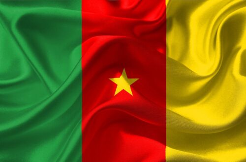 Article : Parlons des camerounaiseries...