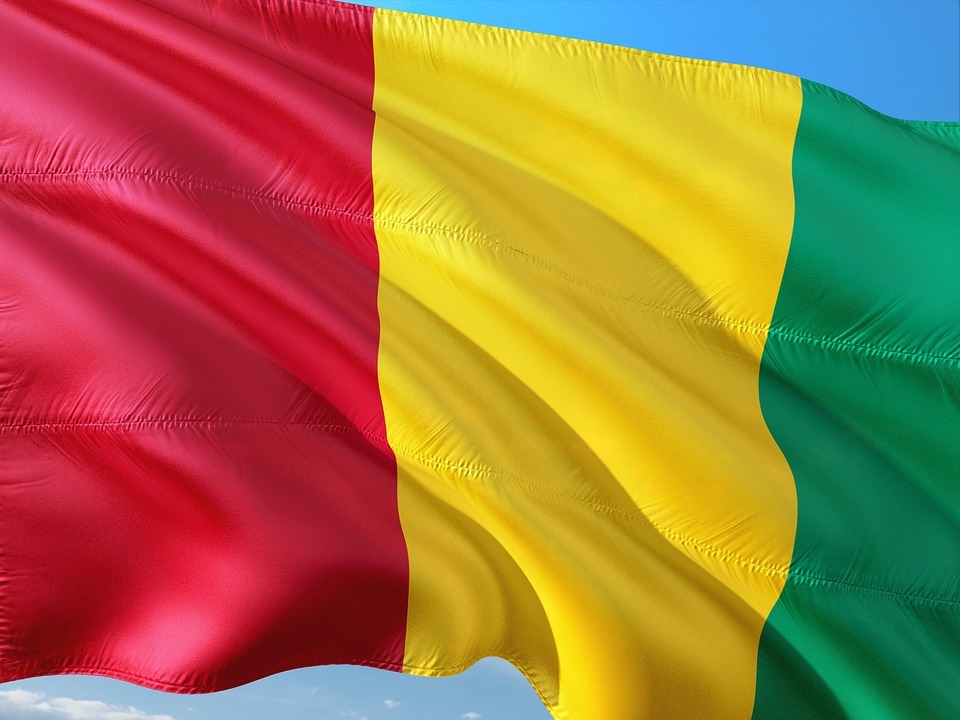 Article : Comment valoriser l&rsquo;image de la Guin&eacute;e au-del&agrave; d&rsquo;un simple logo ?