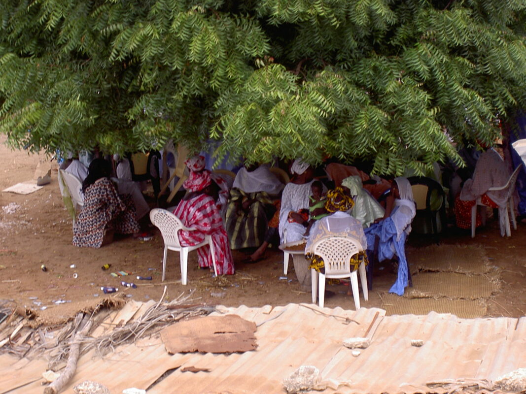 Article : Arbre &agrave; palabre : un espace de parole et de consensus en Afrique Centrale