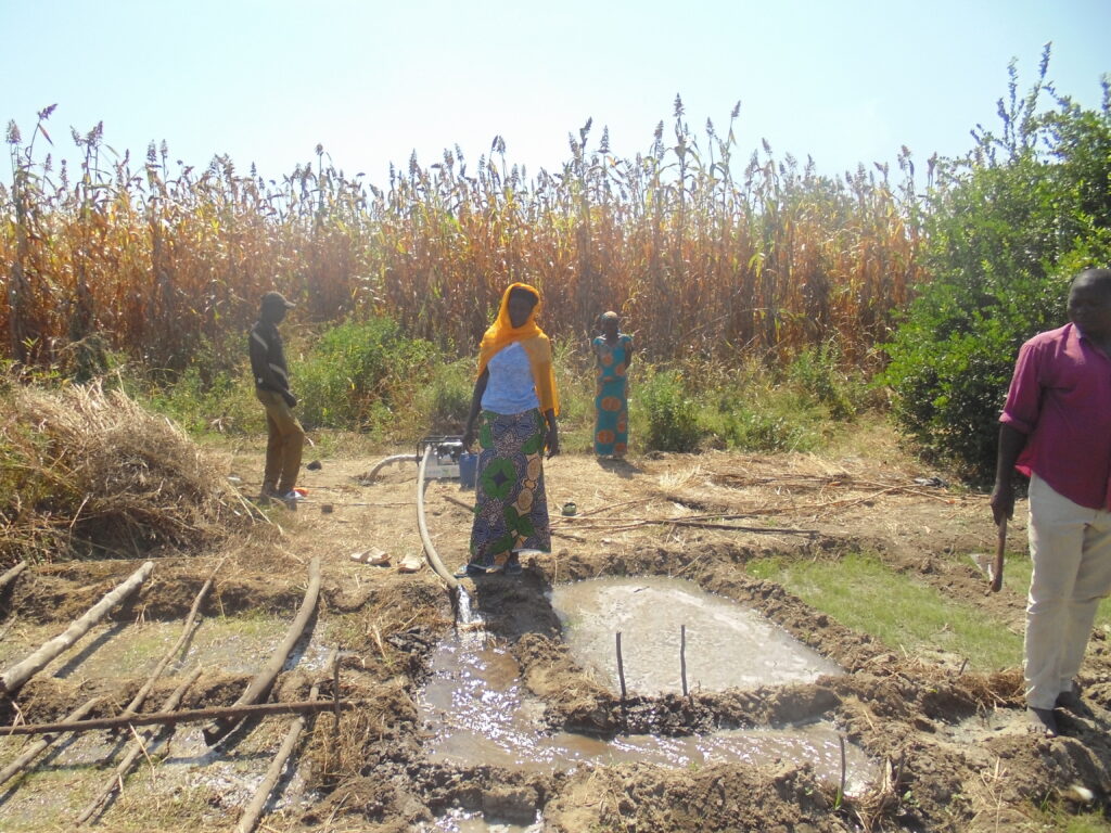 Article : Bassin du Lac Tchad&nbsp;: s&rsquo;adapter pour survivre, malgr&eacute; les conditions climatiques de plus en plus difficiles