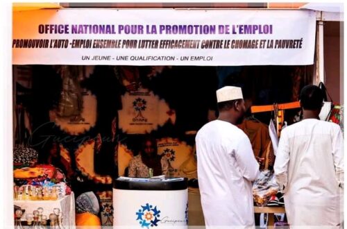 Article : Tchad : la culture entrepreneuriale dans les programmes scolaires pour r&eacute;sorber le ch&ocirc;mage des jeunes ?