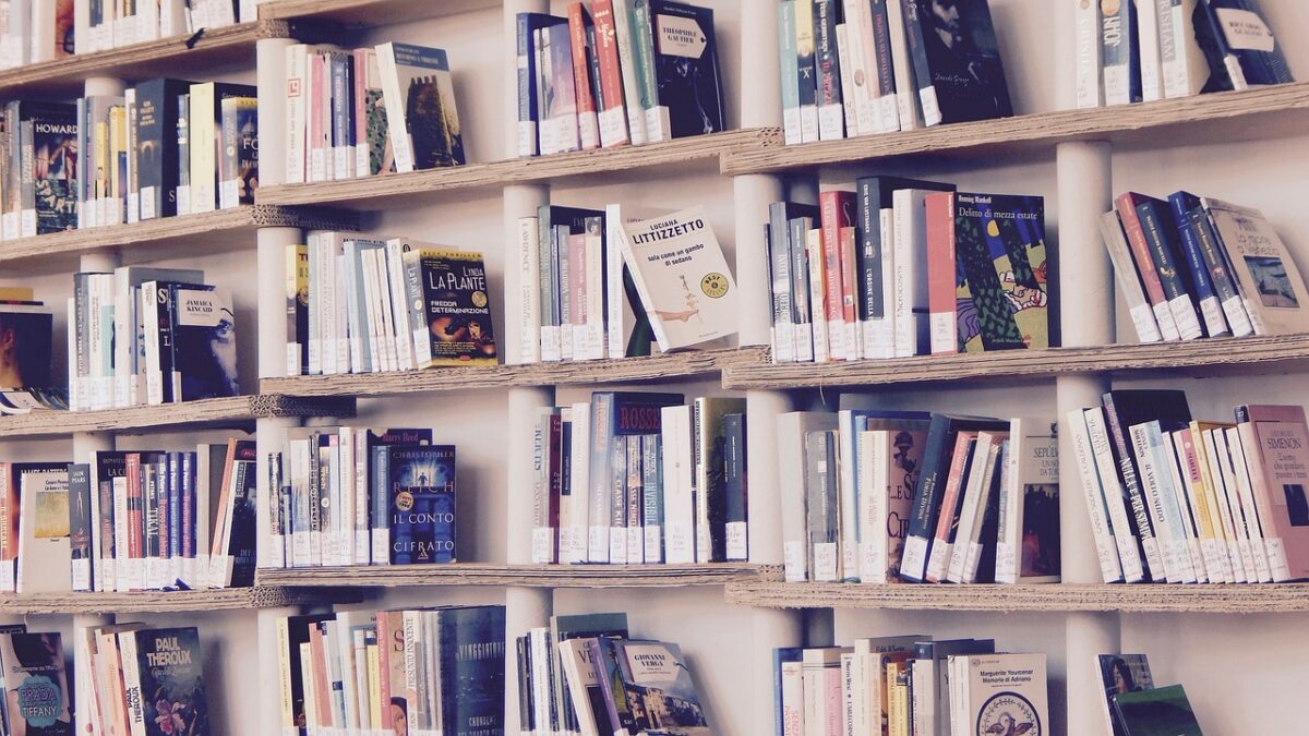 Article : Ma biblioth&egrave;que change des vies &nbsp;