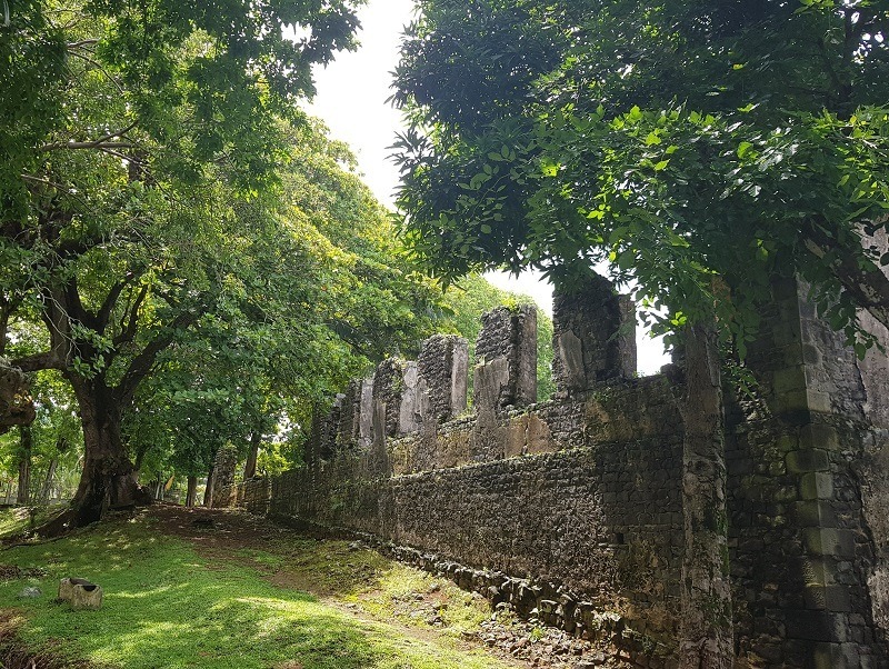 Article : Sur les traces des Hollandais &agrave; l&rsquo;Ile Maurice