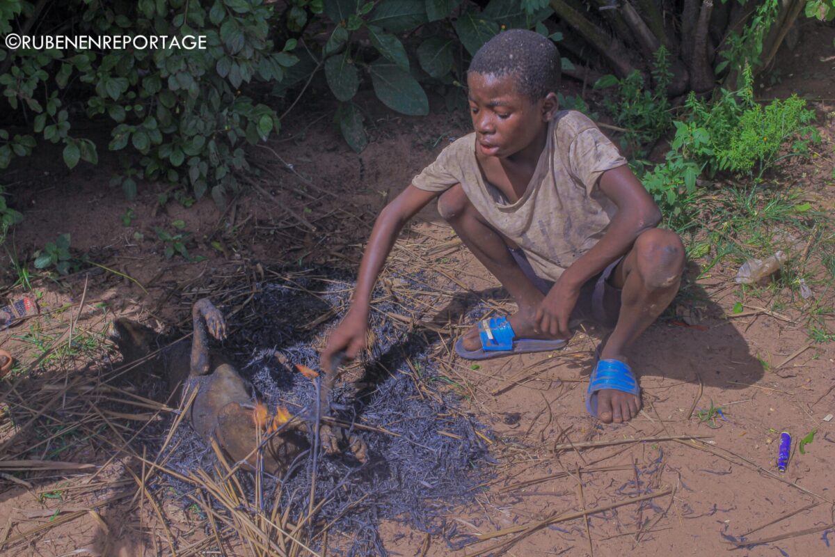 Article : La viande de chien des Baluba du Kasa&iuml;, une exception culturelle o&ugrave; les hommes prennent les r&ecirc;nes de la cuisine