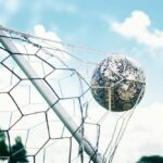 Article : C&ocirc;te d&rsquo;Ivoire : pour une Coupe d&rsquo;Afrique des nations au service de l&rsquo;environnement
