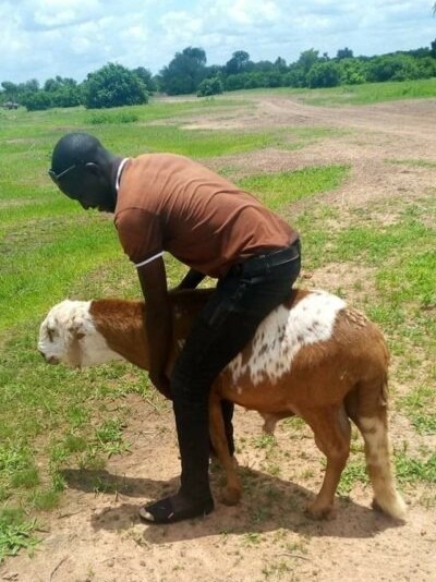 Article : Zakaria Sanou, jeune sp&eacute;cialiste de l&rsquo;&eacute;l&eacute;vage burkinab&egrave; aux grandes ambitions