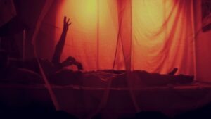 Article : Moustiquaire ou paludisme ? Lorsque la moustiquaire devient facultative&hellip;