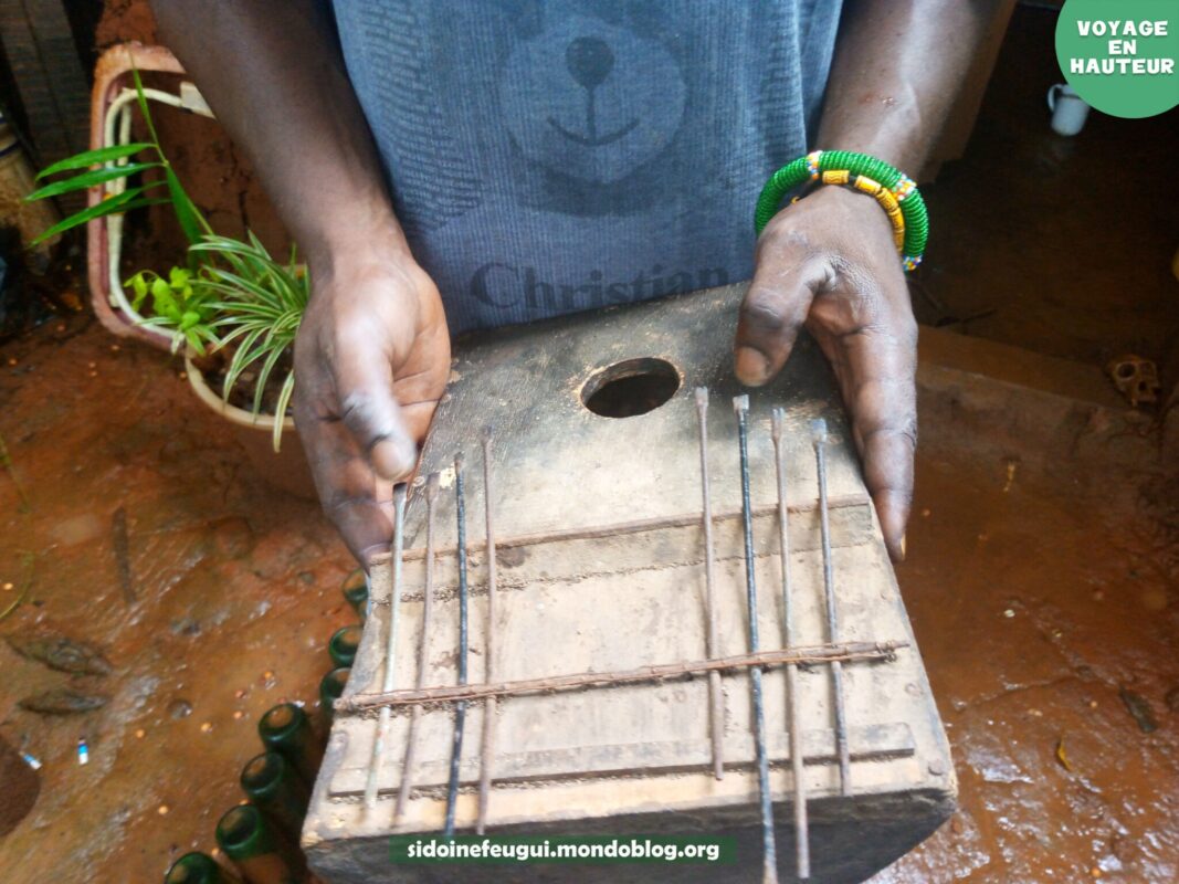 Article : D&eacute;couverte de La For&ecirc;t Sacr&eacute;e : un espace culturel et touristique unique &agrave; Yaound&eacute;
