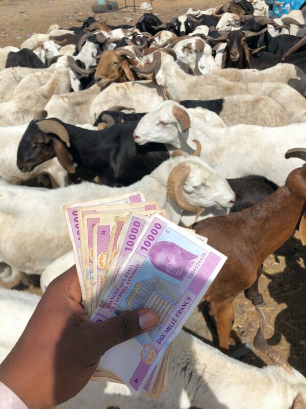 Article : Tchad : l&rsquo;A&iuml;d al Adha, entre chert&eacute; et solidarit&eacute;