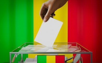 Article : Elections au Mali : vers le sc&eacute;nario du dromadaire-chameau ?