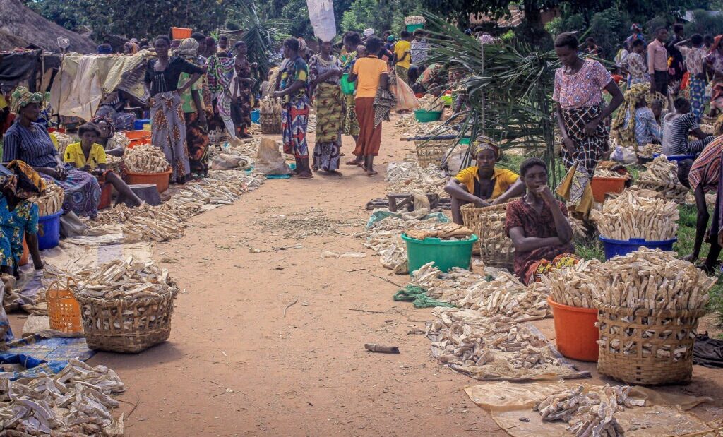 Article : Agriculture : quand l'abondance alimentaire des villages nourrit&nbsp;les&nbsp;villes