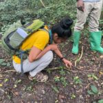 Article : Biodiversit&eacute; : Sur les traces des bryophytes au B&eacute;nin