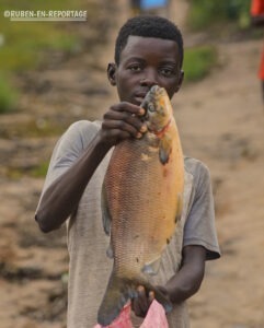 Article : Par-del&agrave; le Kasa&iuml; : l'immersion du Reporter dans le Kwilu et les gros poissons frais de ses r&eacute;gions