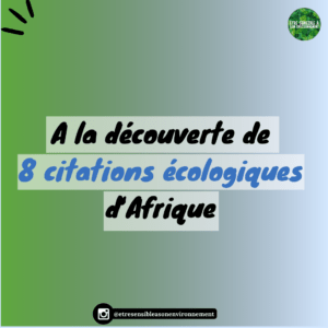 Article : &Agrave; la d&eacute;couverte de huit citations &eacute;cologiques de h&eacute;ros africains