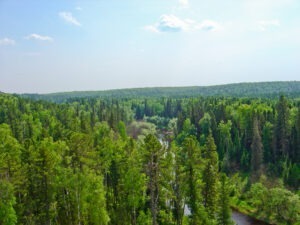 Article : L&rsquo;importance des r&eacute;serves naturelles