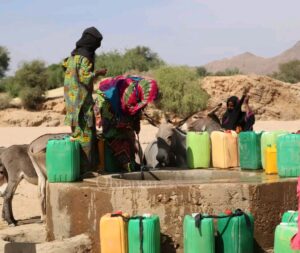 Article : Femme nig&eacute;rienne, symbole de r&eacute;silience et de lumi&egrave;re