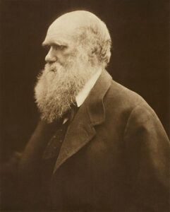Article : L&rsquo;Ile Maurice vue par Charles Darwin