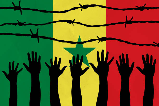 Article : Contraint de quitter le pouvoir, Macky Sall devra r&eacute;pondre de ses actes devant les juridictions nationales et internationales