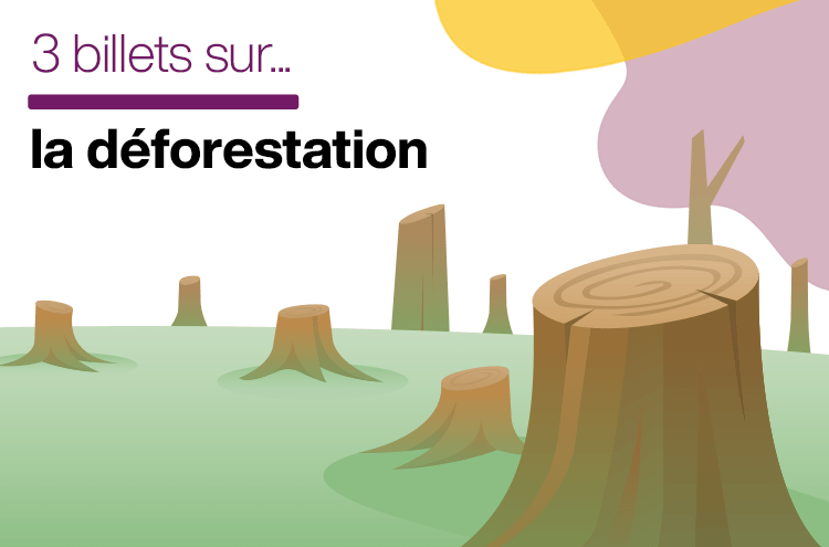 Article : La d&eacute;forestation en Afrique