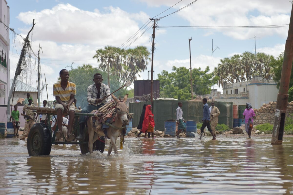 Article : Jeunesse africaine face &agrave; la crise climatique : comment sauver la plan&egrave;te quand on a faim ?