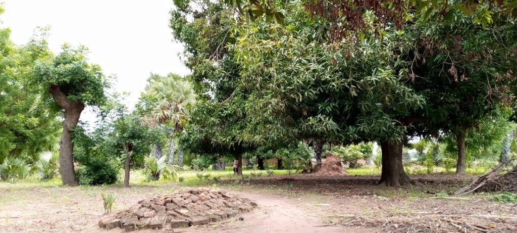 Article : Je vous raconte un petit moment pass&eacute; dans mon village Kolon Bagaye