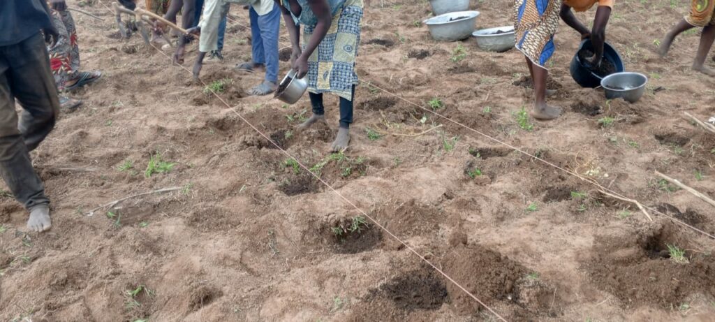 Article : Au B&eacute;nin, la d&eacute;gradation environnementale dans l&rsquo;agriculture