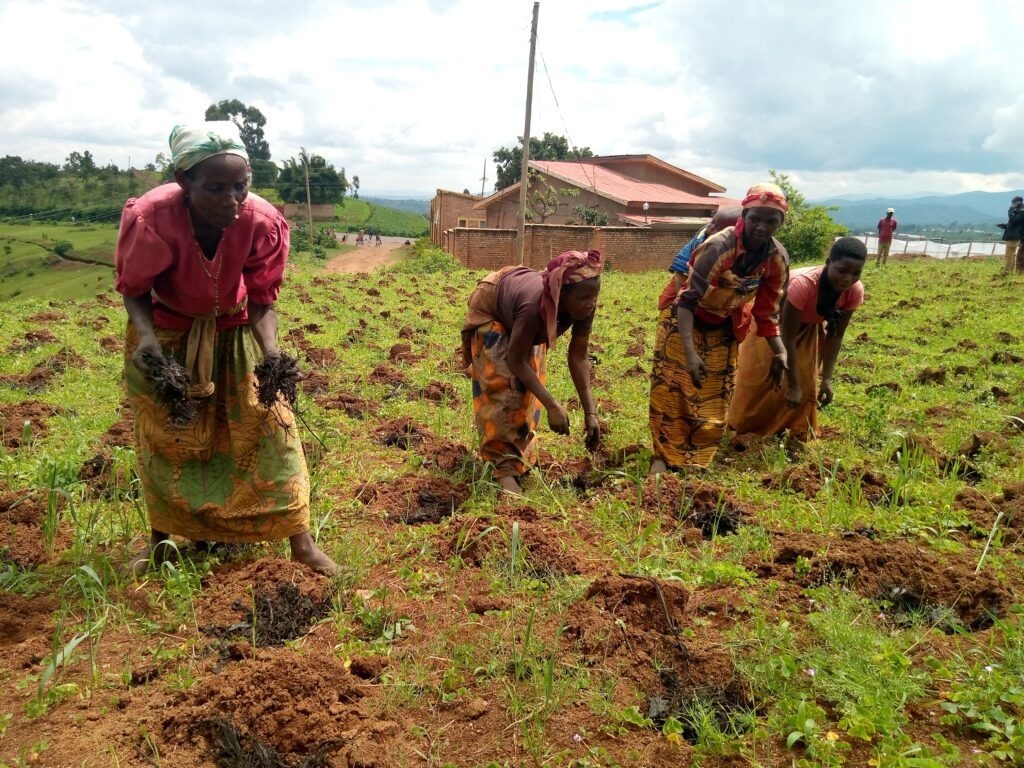 Article : Ne jamais abandonner : les agricultrices burundaises face &agrave; la crise