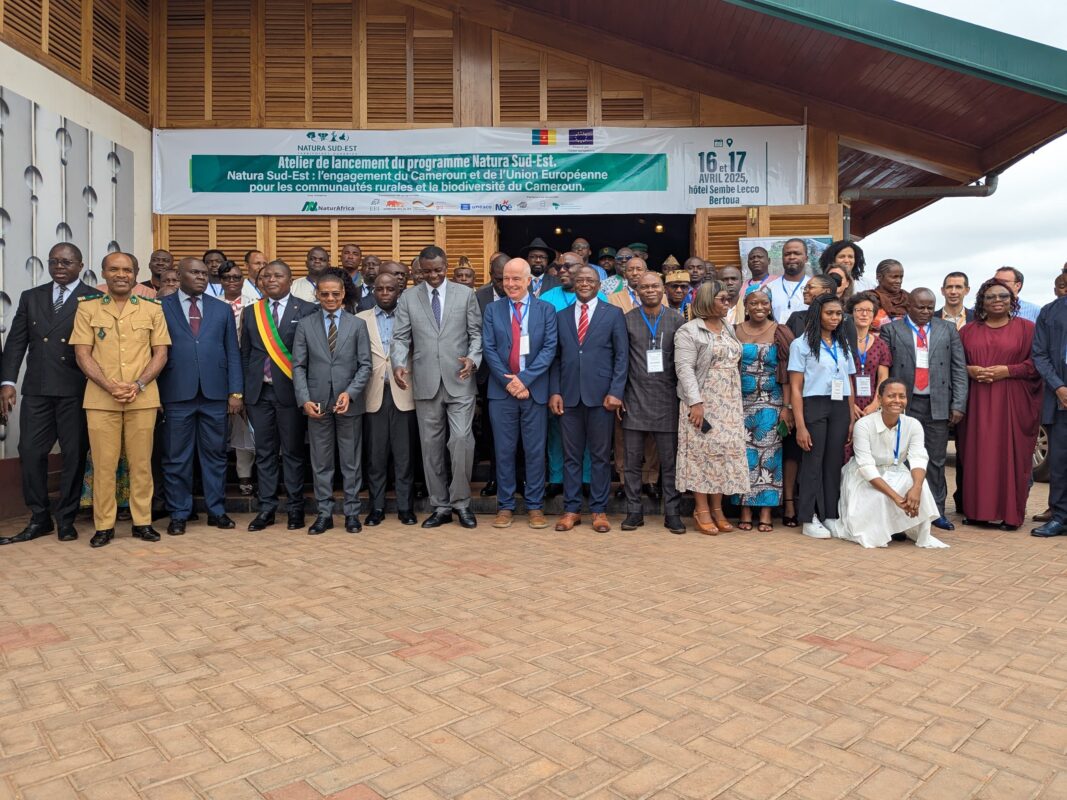 Article : Conserver les for&ecirc;ts de l'Est et Sud-Est du Cameroun